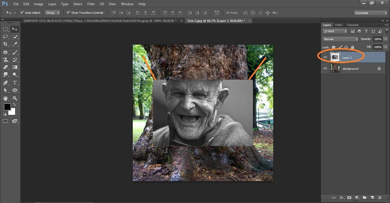 How to create Camouflage a Face onto Gnarly, TREE Bark - in Photoshop manipulation