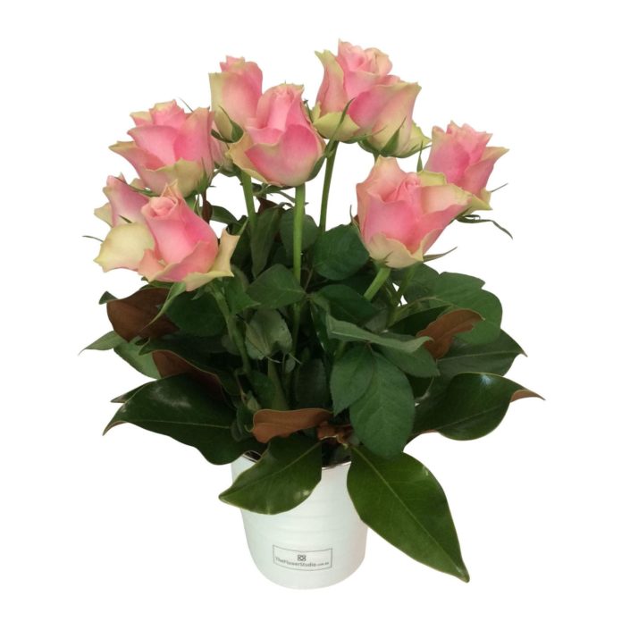 Remove background from image, Image editing company, Photo editing company, Photo editing services, Photo retouching services