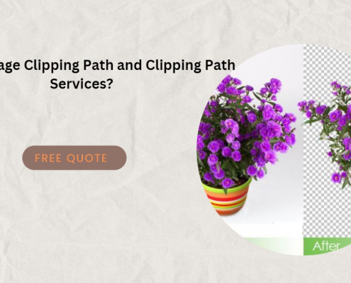 Image Clipping Path and Clipping Path Services