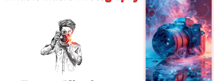 What Is Macro Photography