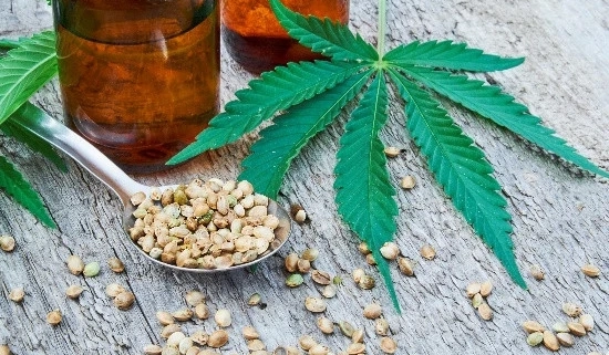 Why Choose Ecommerce Store for Your Cbd Needs