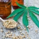 Why Choose Ecommerce Store for Your Cbd Needs